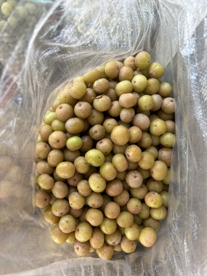 福建漳州油甘产地直发榨汁腌制