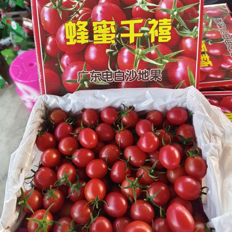 千禧果圣女，精品礼盒，电商代发，落地配，社区团购大量现货