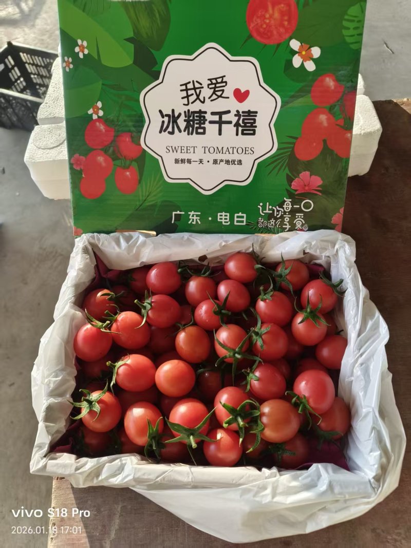 千禧果圣女，精品礼盒，电商代发，落地配，社区团购大量现货