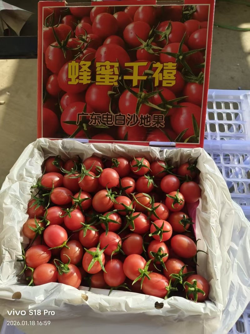 千禧果圣女，精品礼盒，电商代发，落地配，社区团购大量现货