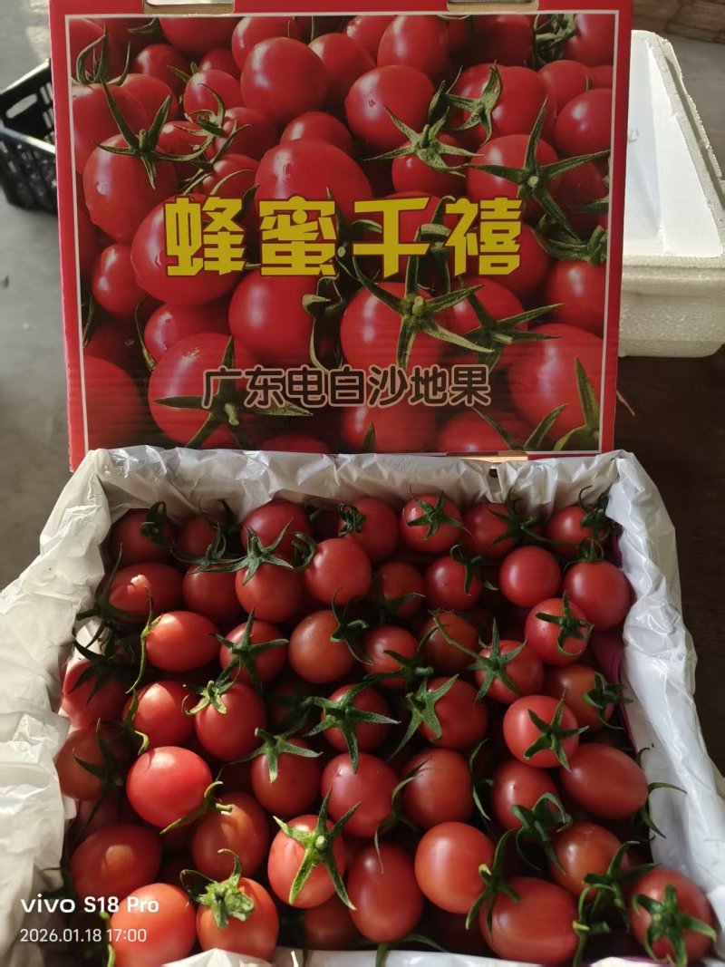 千禧果圣女，精品礼盒，电商代发，落地配，社区团购大量现货