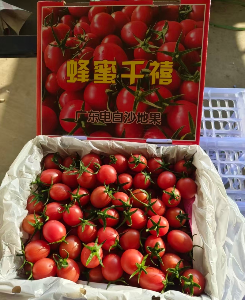 千禧果圣女，精品礼盒，电商代发，落地配，社区团购大量现货