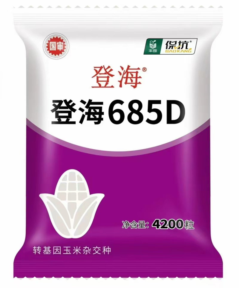 登海685D转基因抗草甘膦抗虫国审红轴大棒子产量高