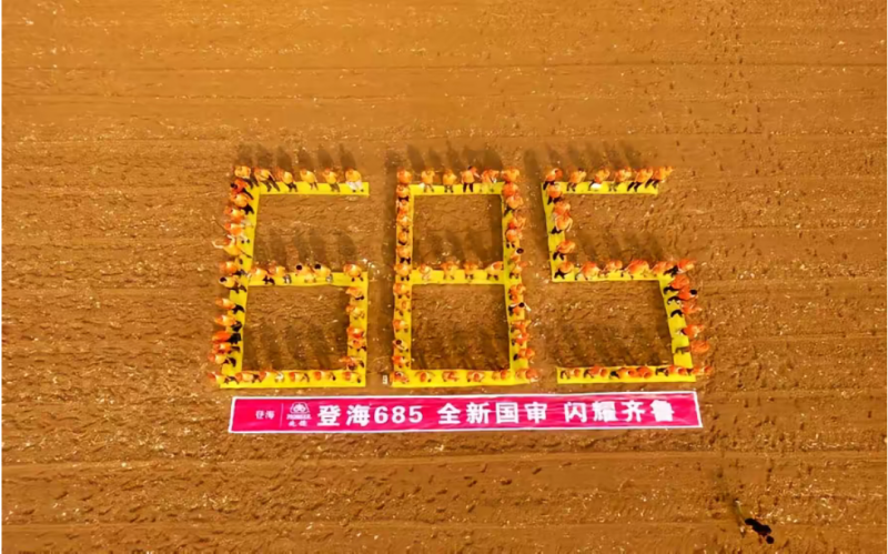 登海685D转基因抗草甘膦抗虫国审红轴大棒子产量高