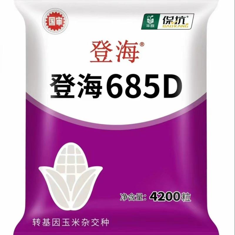 登海685D转基因抗草甘膦抗虫国审红轴大棒子产量高