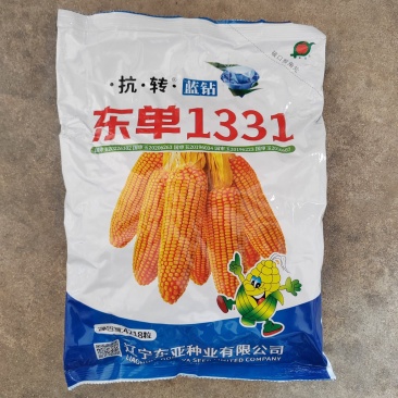 东单1331玉米种子国审红轴耐密植株高矮穗位低辽宁东亚