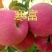 山东鲁丽苹果苗、月香（货源充足量大从优）现挖现发，质量好