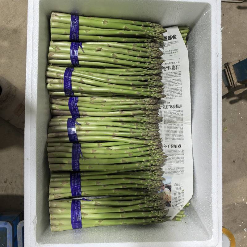 芦笋基地，春笋头茬，口感鲜甜，全国发货，量大从优，