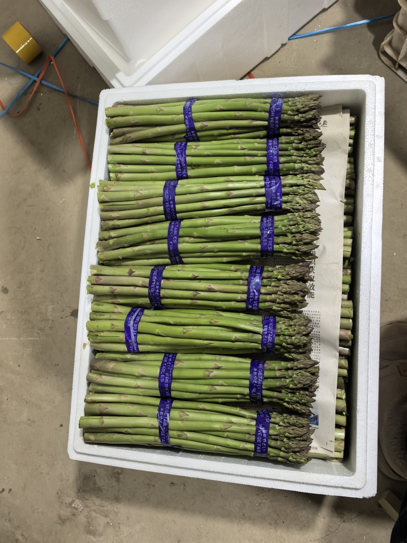 芦笋基地，春笋头茬，口感鲜甜，全国发货，量大从优，