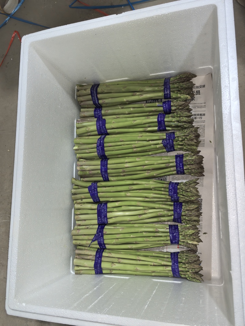 芦笋基地，春笋头茬，口感鲜甜，全国发货，量大从优，