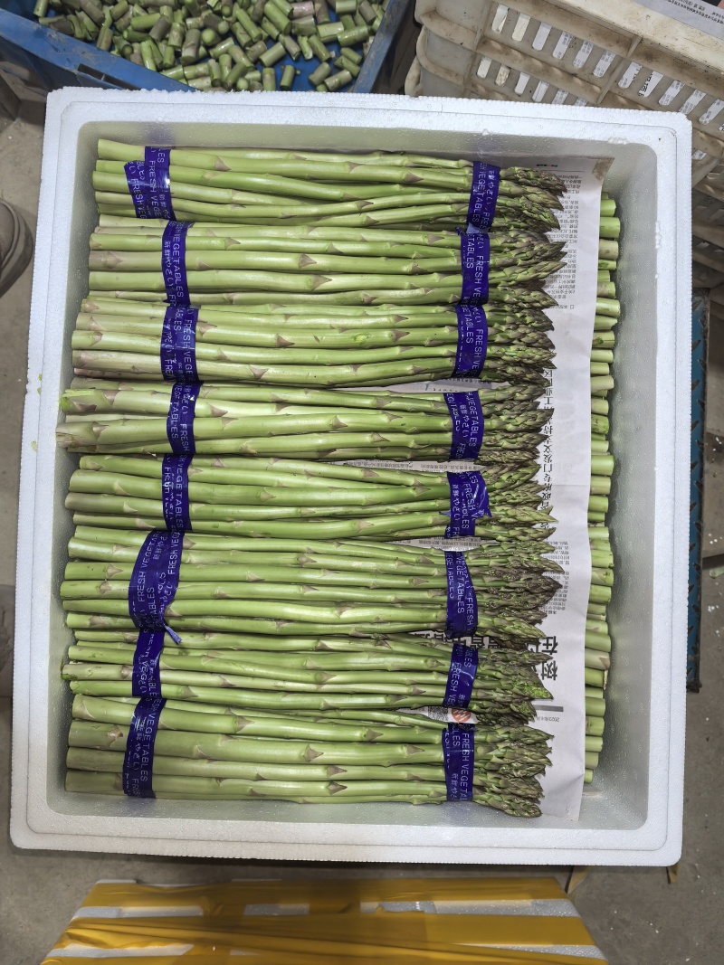 芦笋基地，春笋头茬，口感鲜甜，全国发货，量大从优，