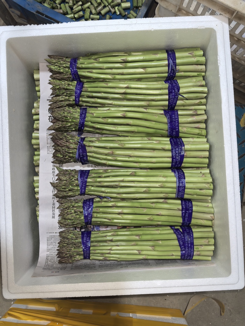 芦笋基地，春笋头茬，口感鲜甜，全国发货，量大从优，