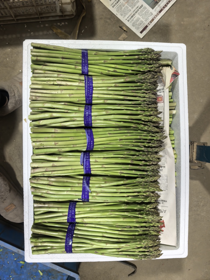 芦笋基地，春笋头茬，口感鲜甜，全国发货，量大从优，