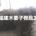 山苍子根木姜子根批发