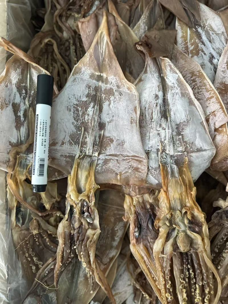 山东鱿鱼片鱿鱼花鱿鱼干量大价优可包邮欢迎咨询