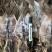 山东鱿鱼片鱿鱼花鱿鱼干量大价优可包邮欢迎咨询