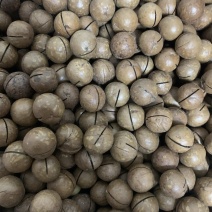 夏威夷果大量现货一件代发