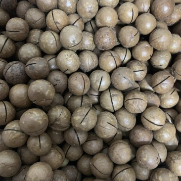 夏威夷果大量现货一件代发