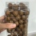 夏威夷果大量现货一件代发