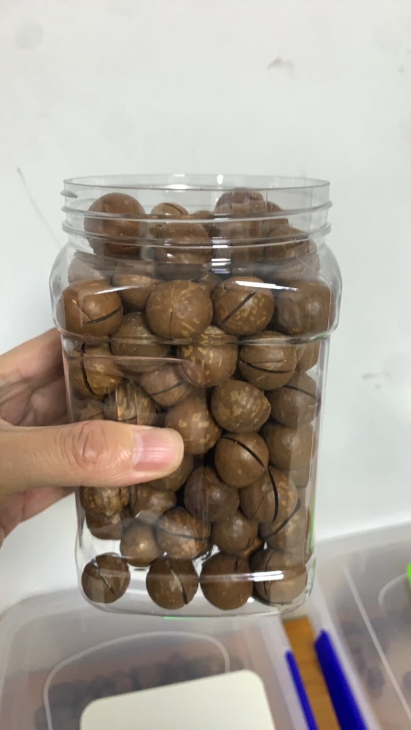 夏威夷果大量现货一件代发