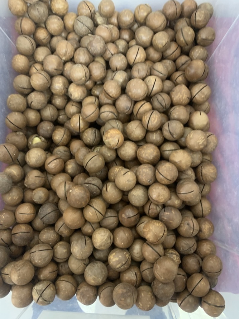 夏威夷果大量现货一件代发