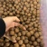 夏威夷果大量现货一件代发