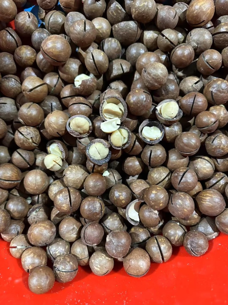 夏威夷果开心果巴旦木腰果等各种坚果，电商代发