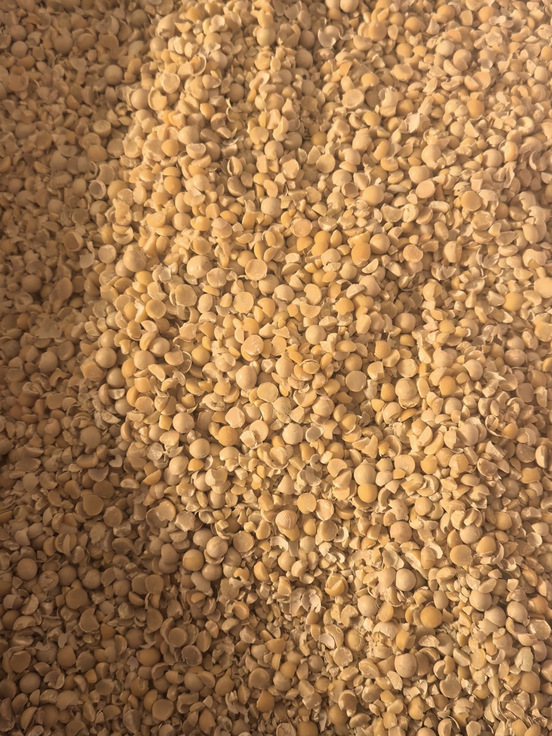 碎黄豆牛羊驴马养殖饲料，厂家正规发货，无需要定金