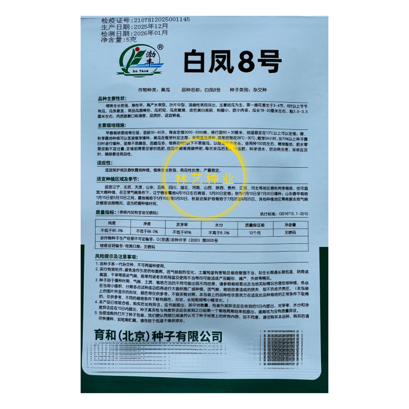 白凤8号水果黄瓜种子孑高产抗病强雌水果黄果种籽瓜把短瓜条