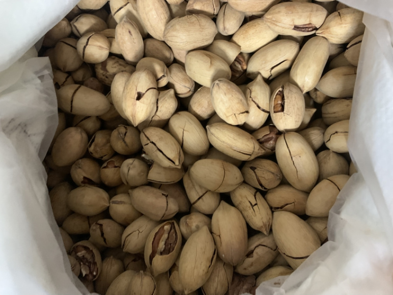 碧根果现货批发量大可谈一斤代发支持各大电商平台
