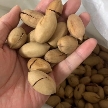 碧根果现货批发量大可谈一斤代发支持各大电商平台