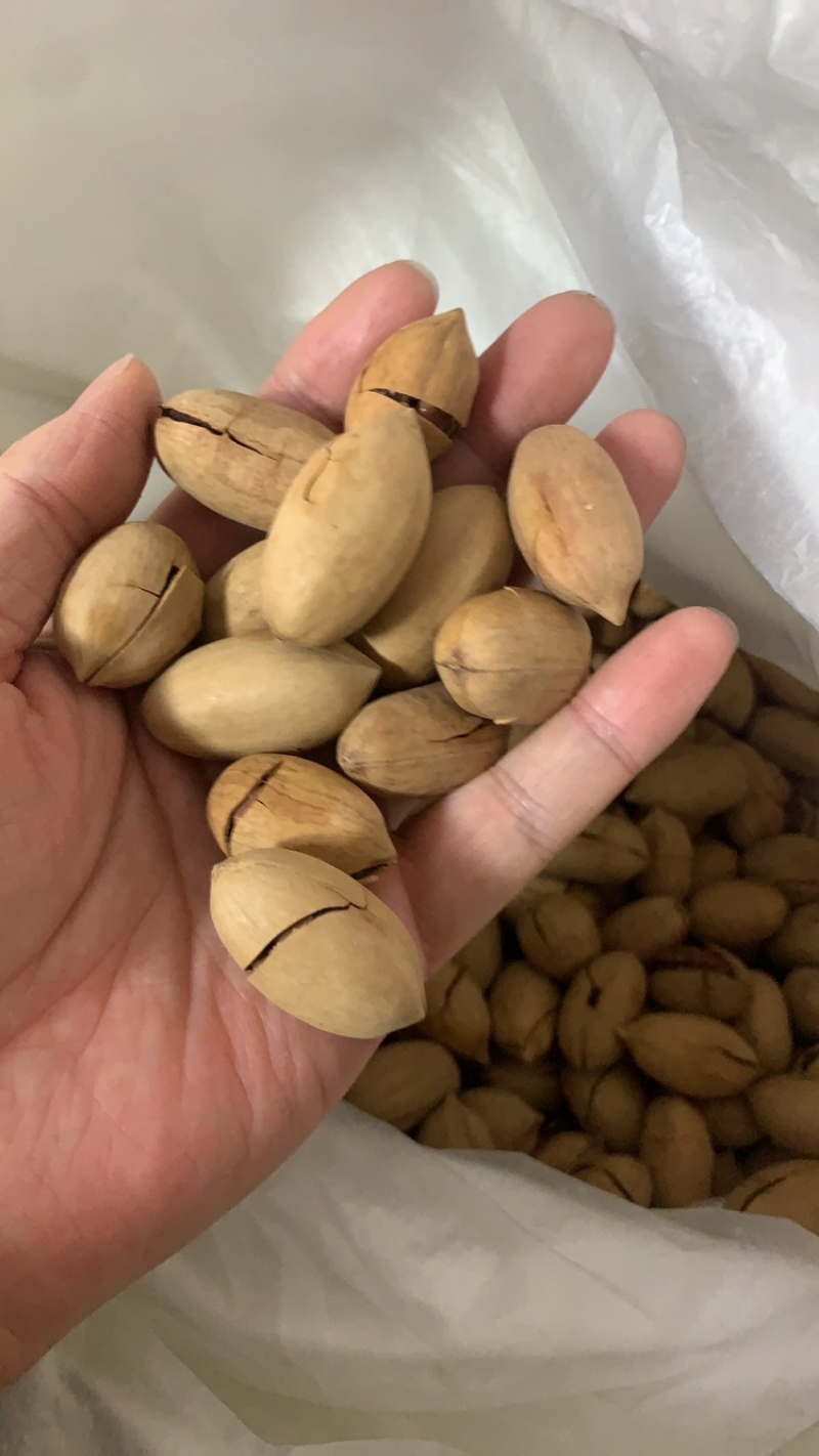 碧根果现货批发量大可谈一斤代发支持各大电商平台