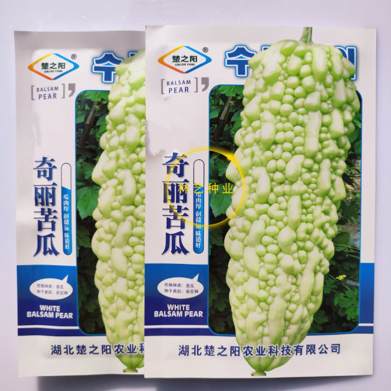 楚之阳奇丽苦瓜种子早中生白绿珍珠苦瓜种籽无限生长春秋