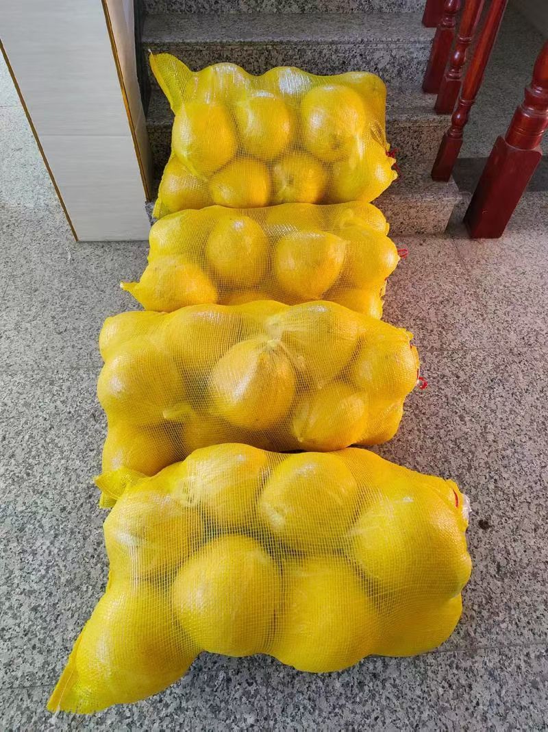 江西马家柚
