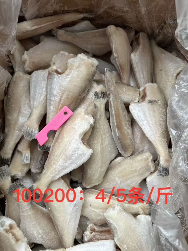 耗儿鱼马面鱼三去剥皮鱼扒皮鱼玻璃鱼火锅食材香煎烧烤干锅