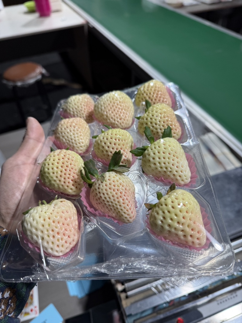 白草莓淡雪