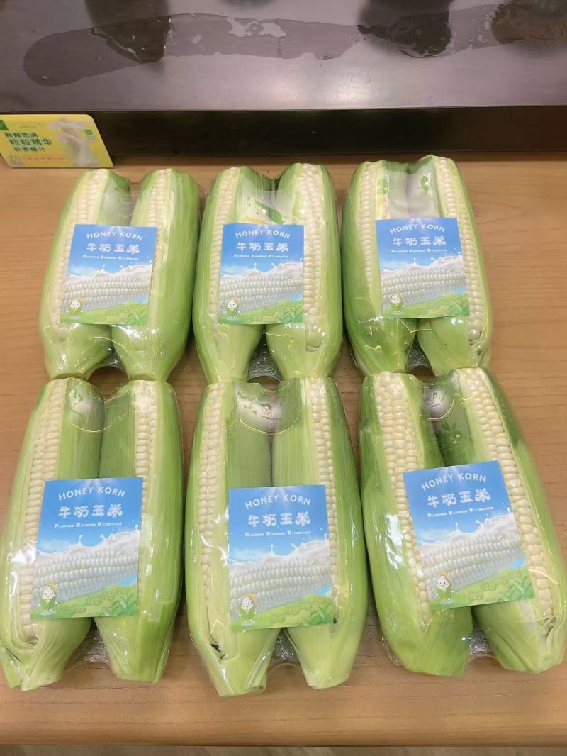 爆浆牛奶水果玉米全年供应
