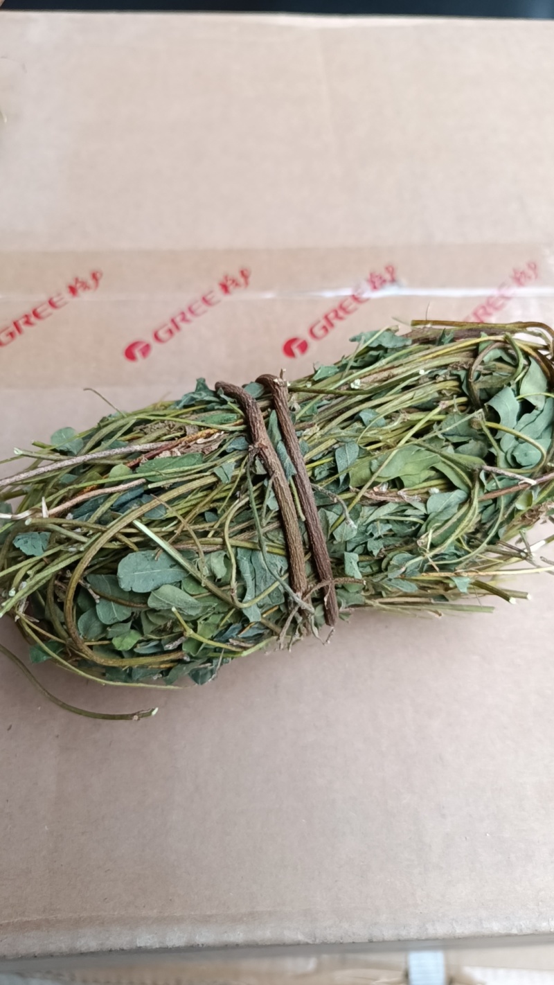 鸡骨草