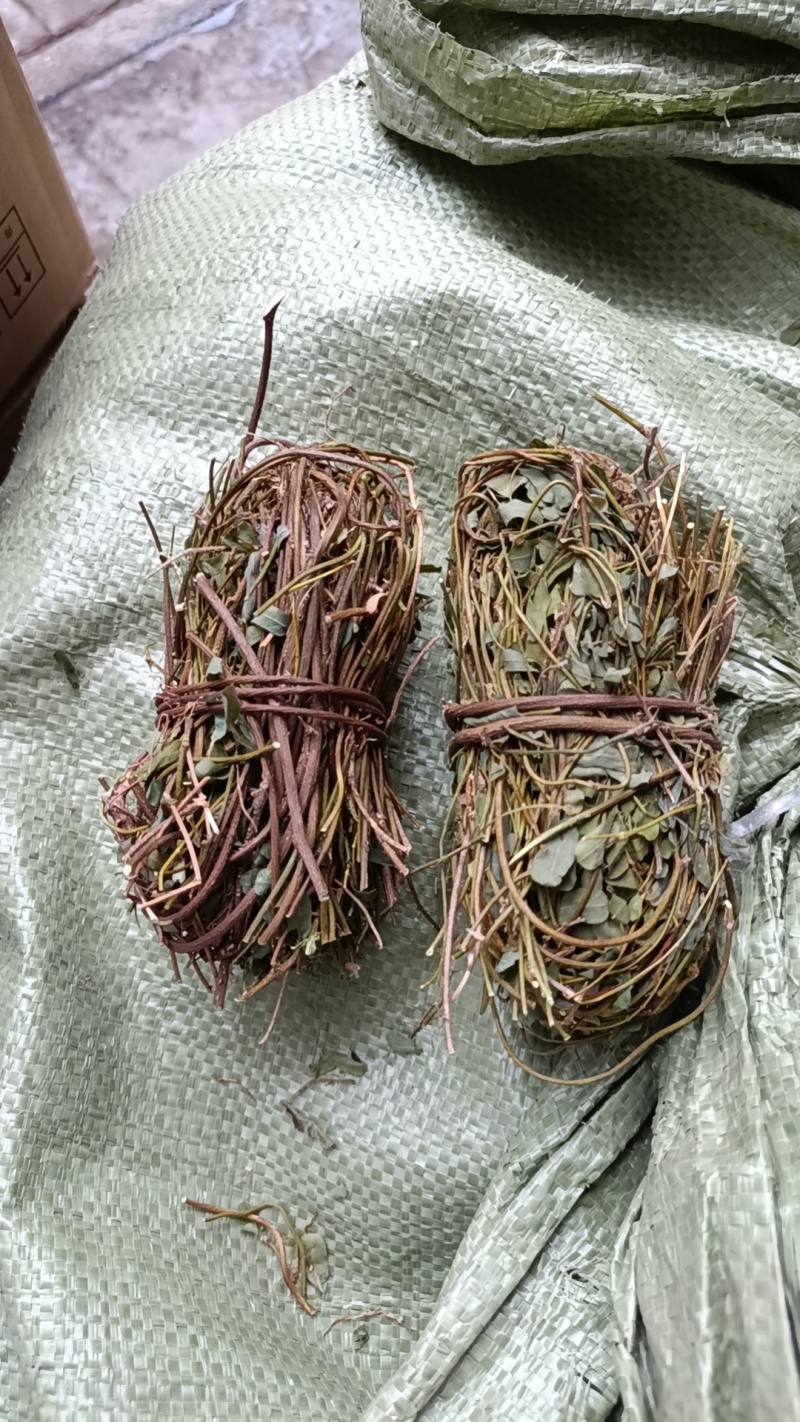 鸡骨草