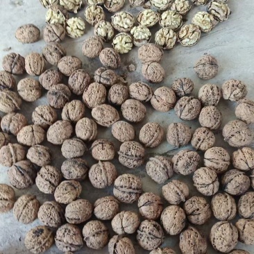 手选薄皮大果