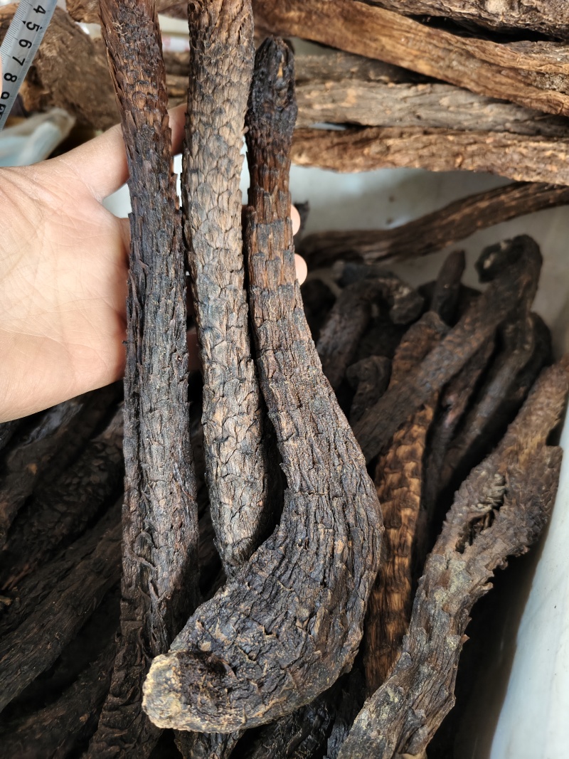 肉苁蓉软肉苁蓉整支批发零售规格齐全量大从优