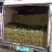 【实力】大叶菠菜菠菜扎捆菠菜散框大捆菠菜