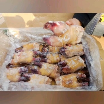 火烧牛蹄掌