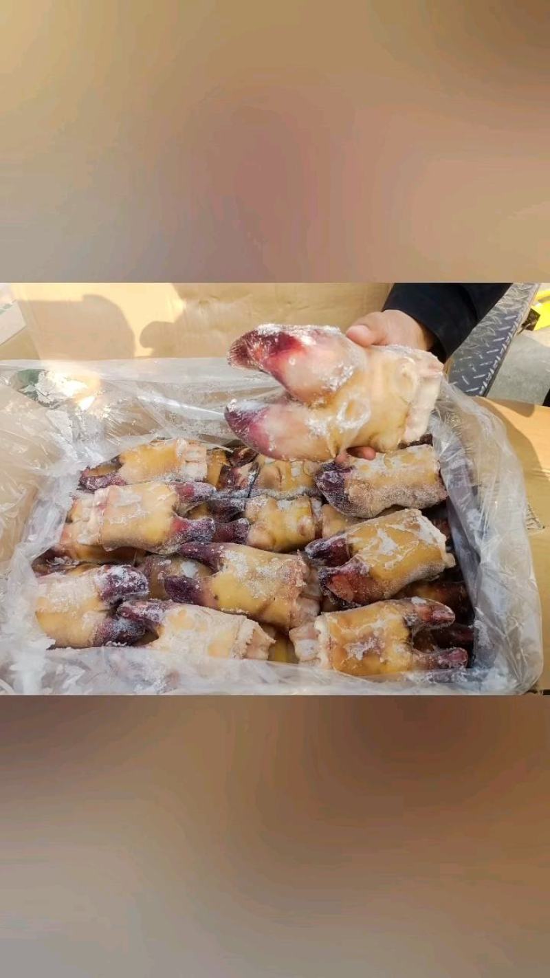 火烧牛蹄掌