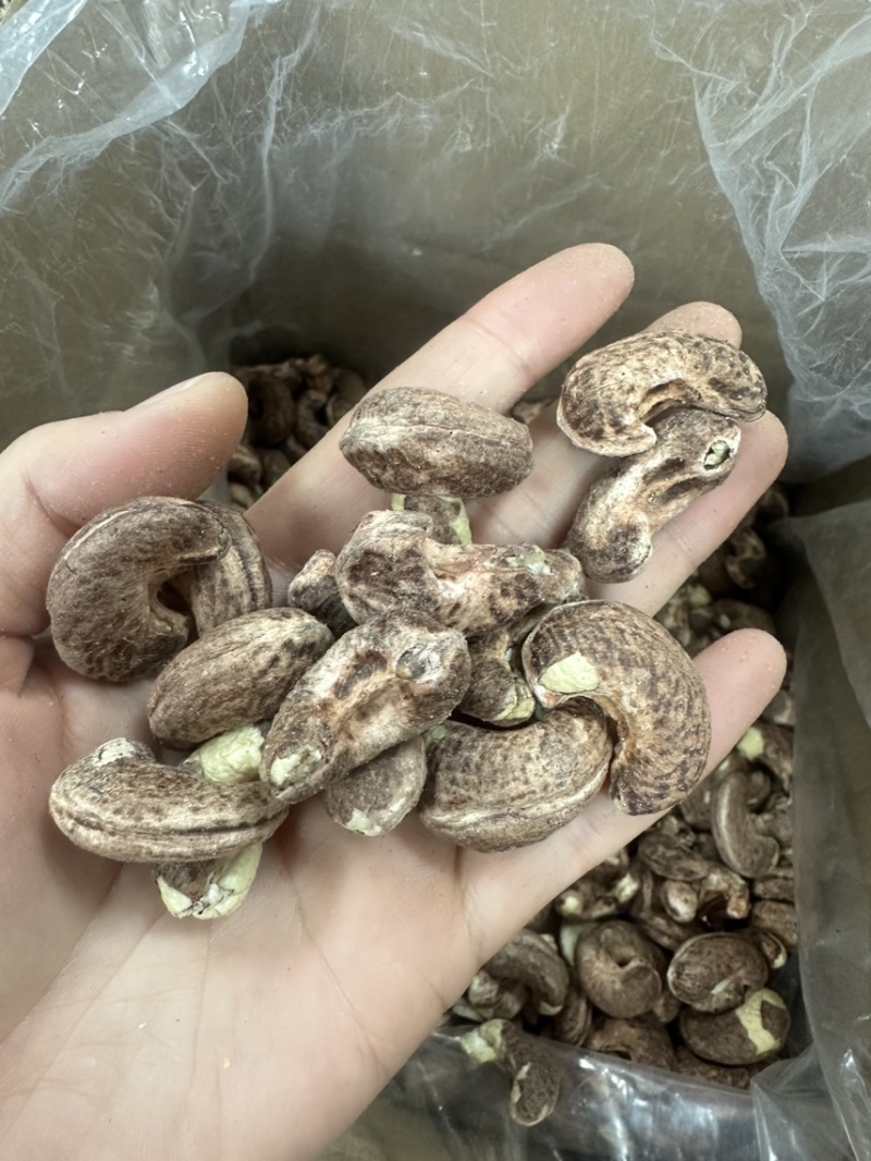 紫衣腰果180型号大果