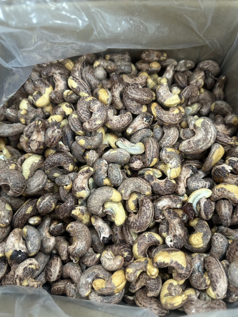 紫衣腰果180型号大果