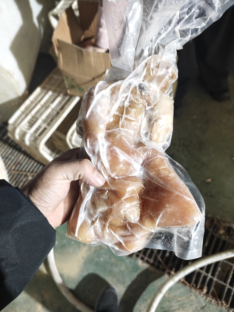 纯国产熟去骨牛蹄，带主筋，可卤煮，凉拌，铁锅炖。大量现货
