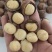 夏威夷果奶香味26年新货大量现货