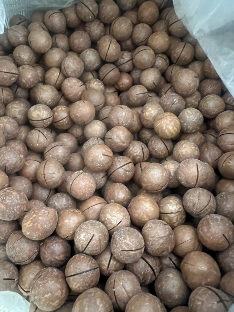 夏威夷果奶香味26年新货大量现货