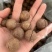 夏威夷果奶香味26年新货大量现货